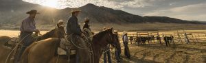 ranchers on horses looking at cows herded into a corral