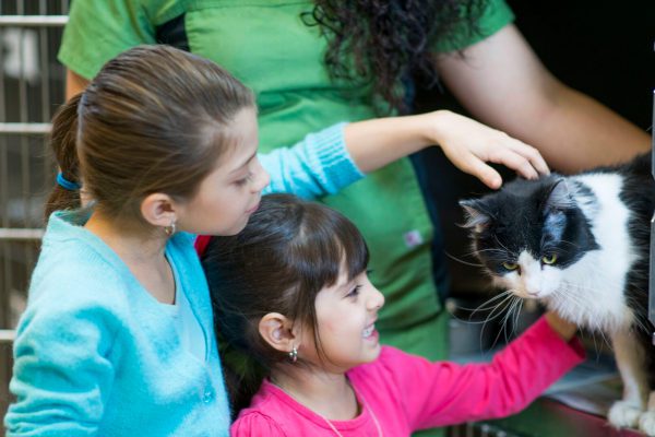 young girls at pet shelter petting cat