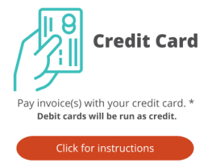 hand holding credit card icon, text credit card payment and debit cards run as credit, click for instructions button