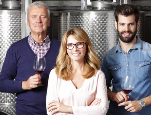 A Family Business Owner Needs Both an Estate Plan and a Succession Plan
