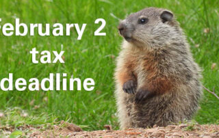 grass background | a small dirt patch | a brown groundhog looking around | next to the groundhog in white letters says February 2 tax deadline |