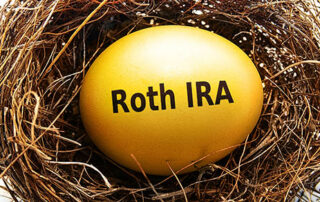 Gold Roth IRA egg in a bird's nest, on white