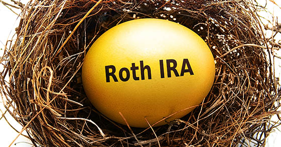 Gold Roth IRA egg in a bird's nest, on white